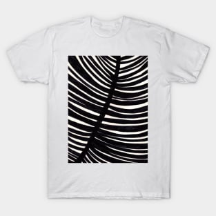 Abstract Areca Palm Frond T-Shirt